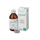 Loracef pfs 100 ml - https://upokar24.com