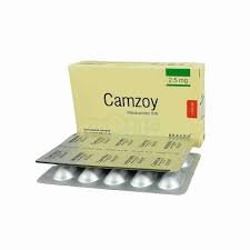 Camzoy - https://upokar24.com